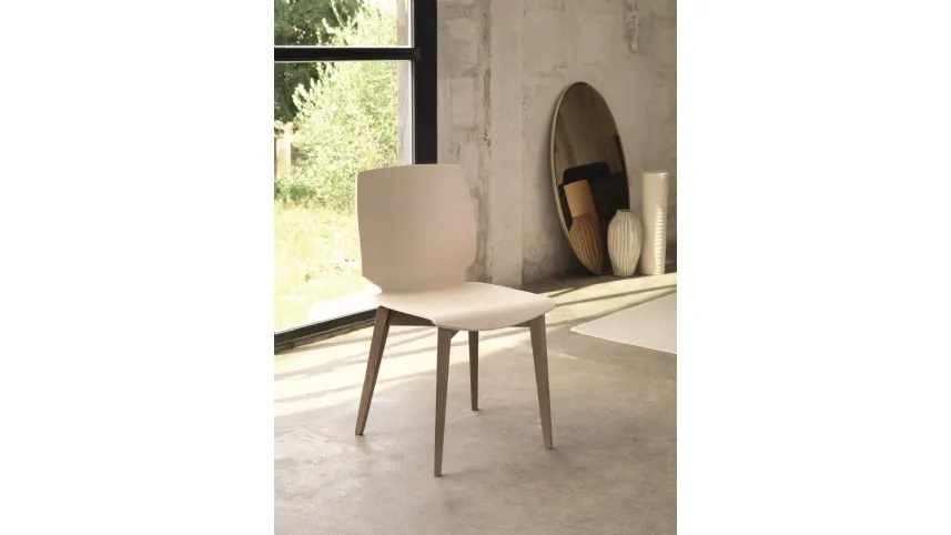 Sedia in legno Shell S149 di Friulsedie